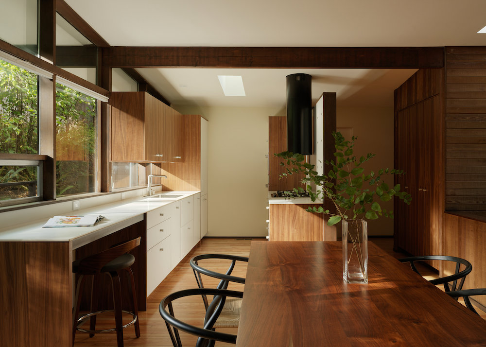 Una Casa en el Arbol photorealistic render — architectural visualization before build